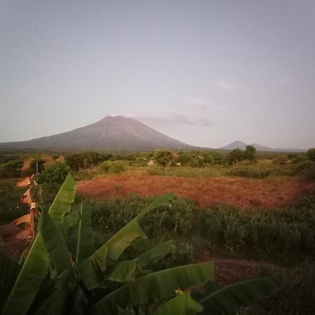Khrisna Sunrise Homestay Tulamben Szoba fotó